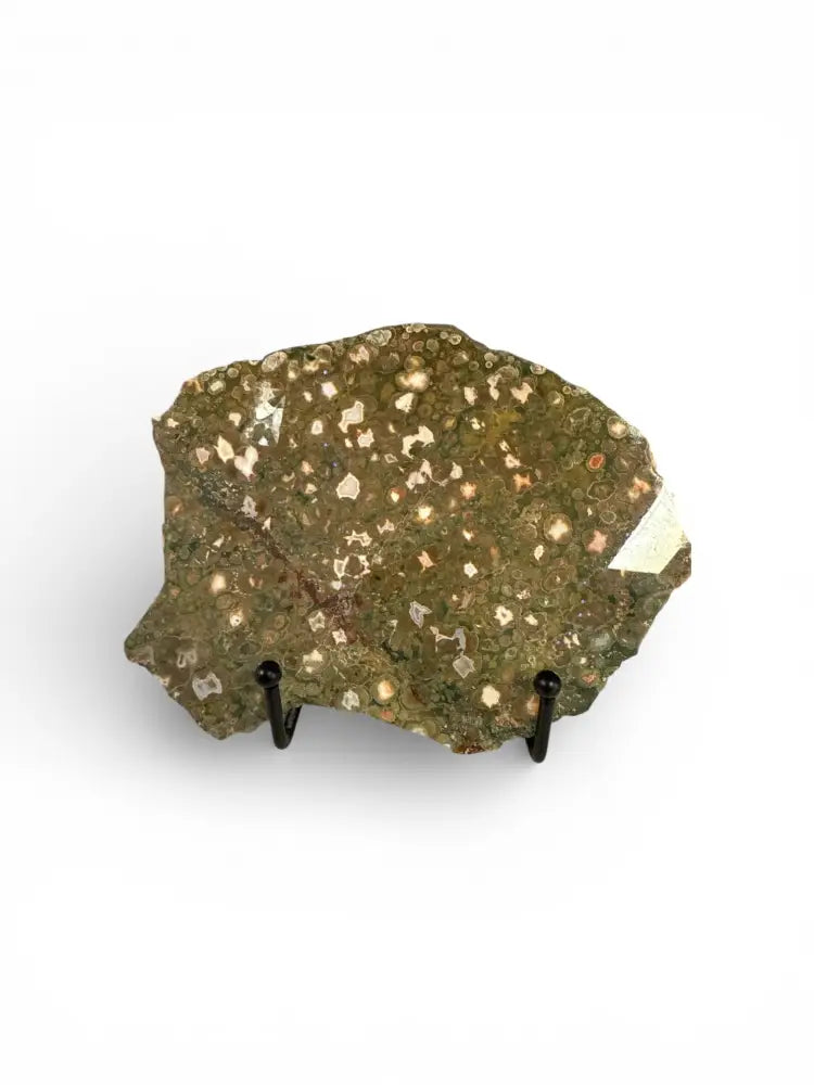 Rainforest Jasper Slice boho decor