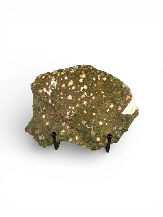 Rainforest Jasper Slice boho decor