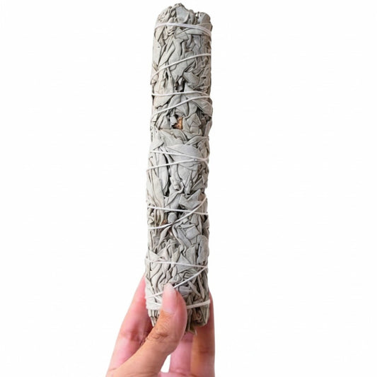 White Sage Stick - X Large