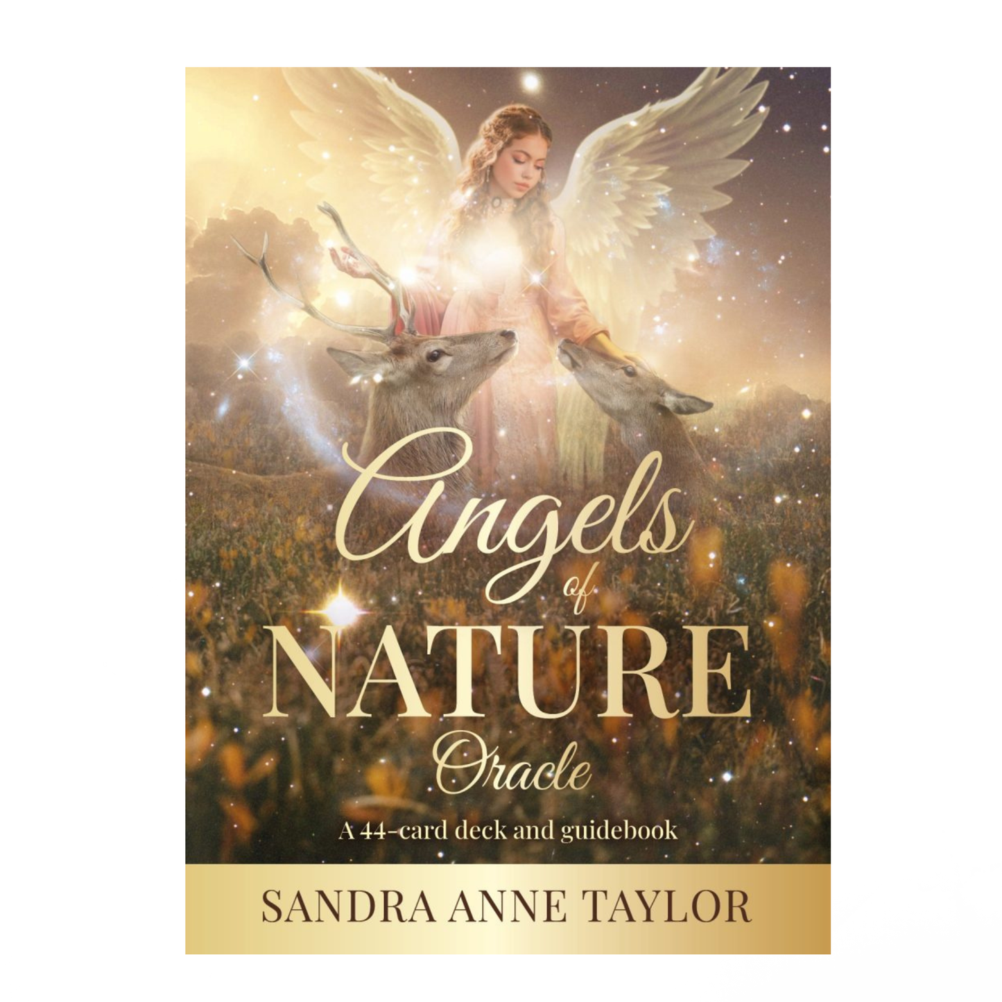 Angels of Nature Oracle Cards by TAYLOR, SANDRA ANNE