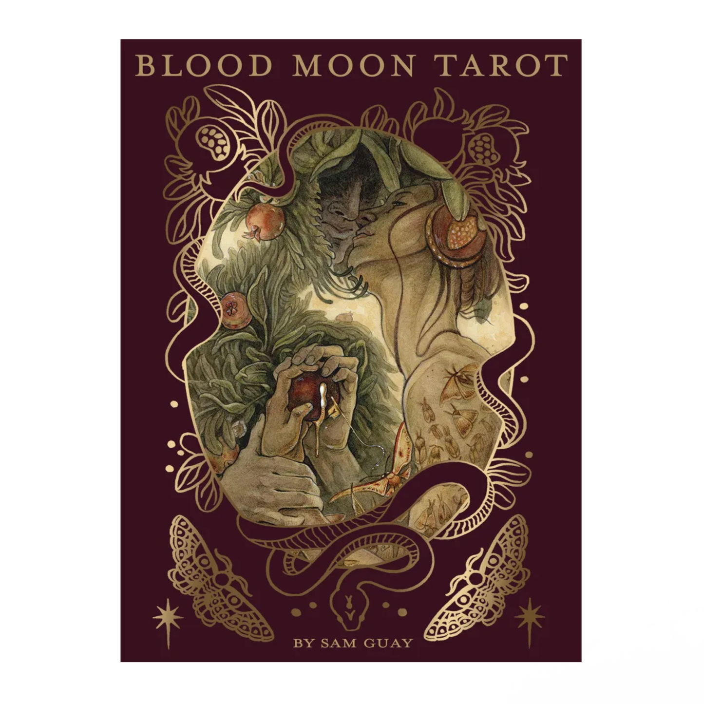 Blood Moon Tarot by Sam Guay