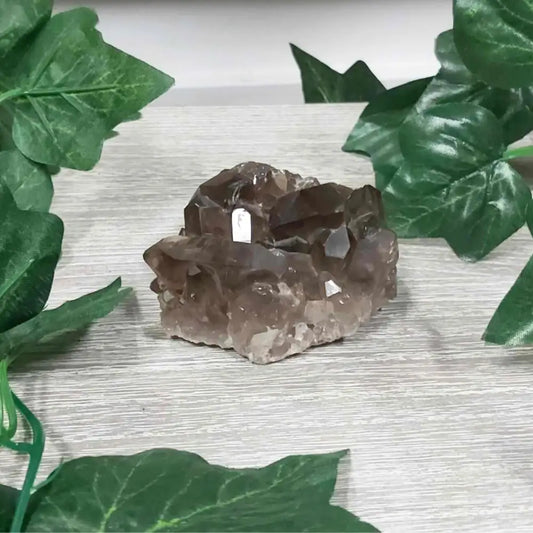Smoky Quartz Cluster Geode 003 Crystal cluster