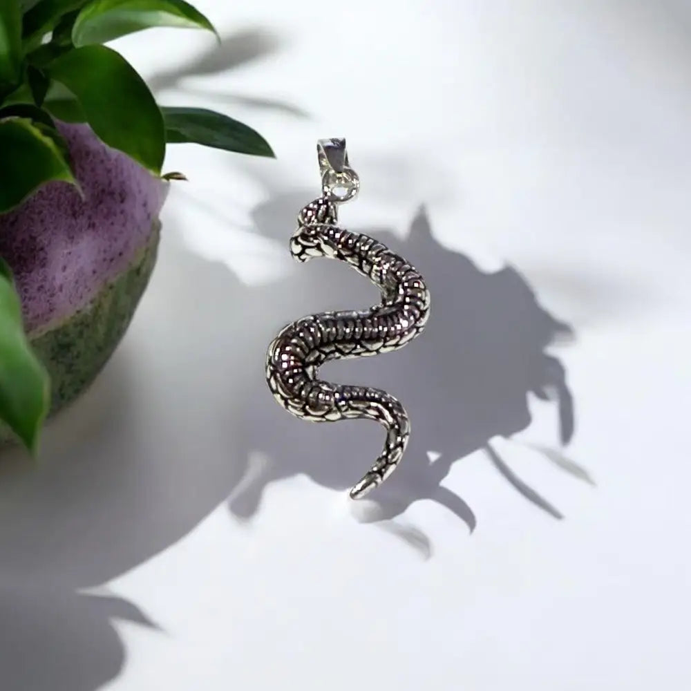 Silver snake pendant on a white surface with a plant in the corner