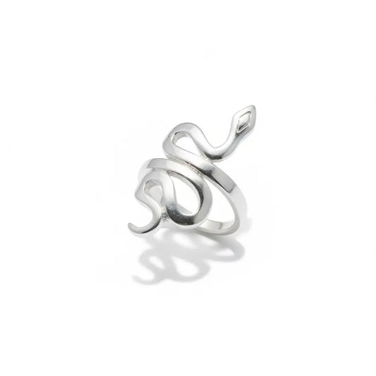 Snake Ring in Silver Ring