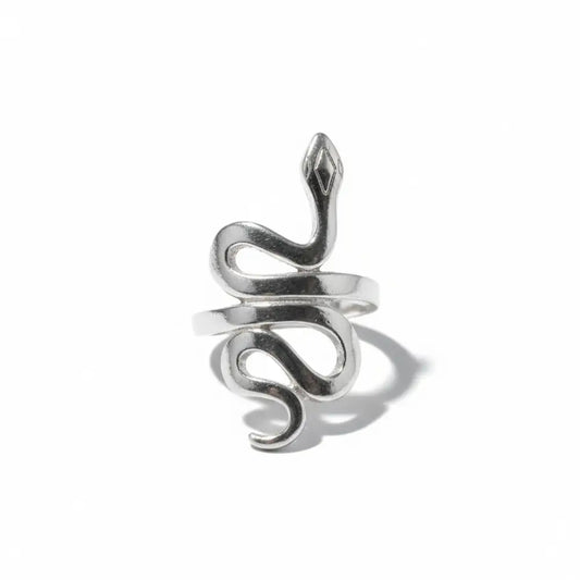 Snake Ring in Silver Ring
