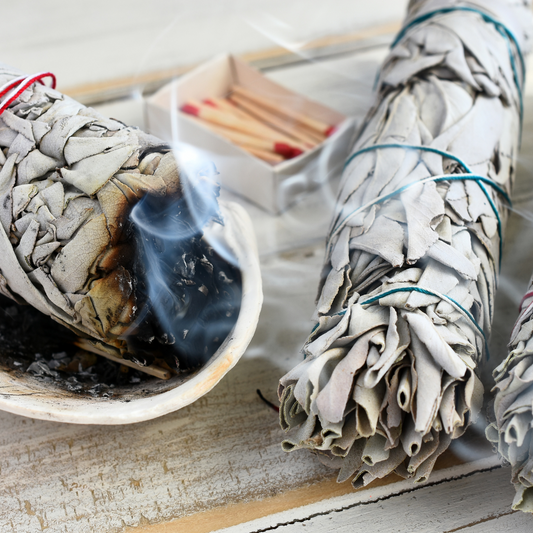 Abalone Shells - Natural Polished