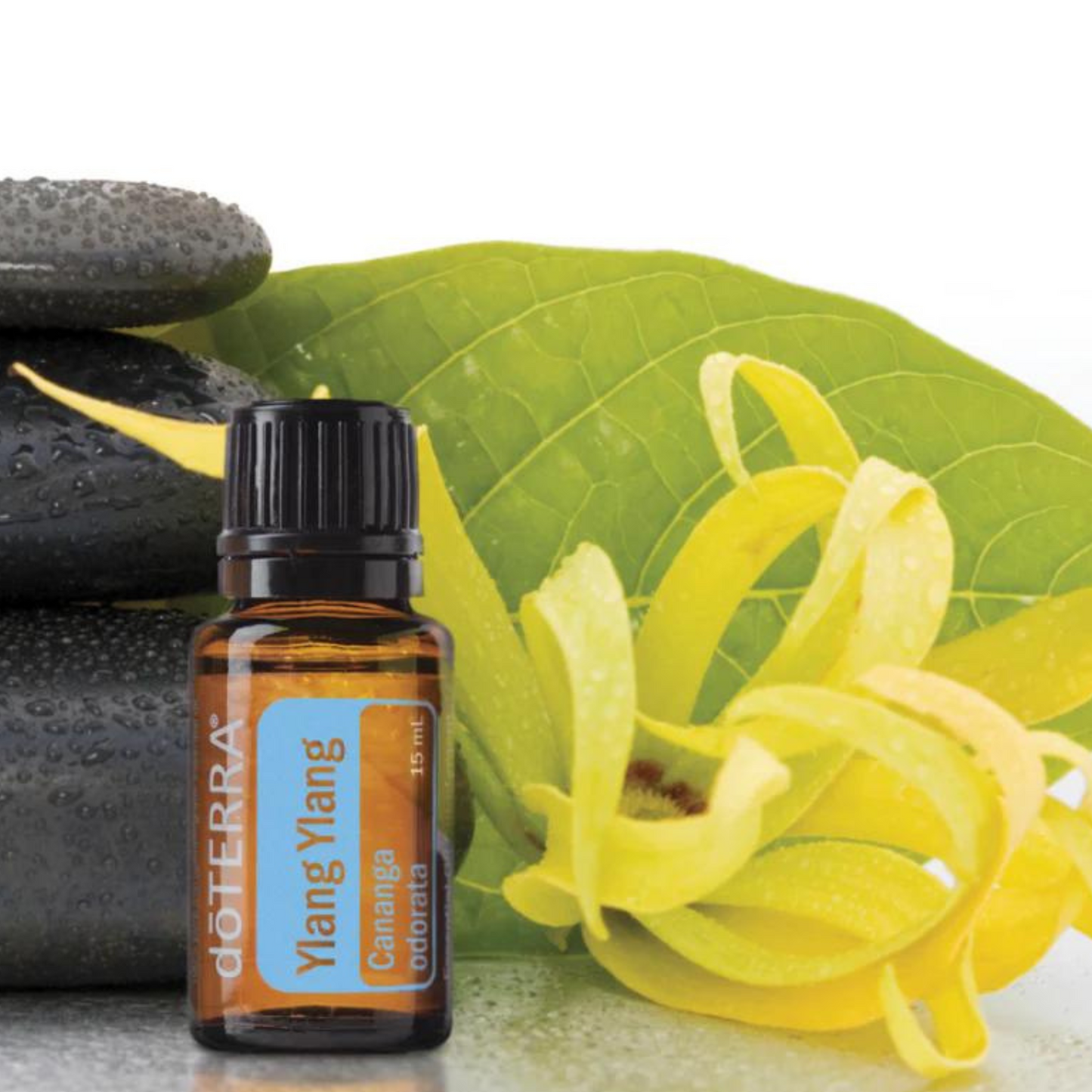 Doterra Ylang Ylang Essential Oil