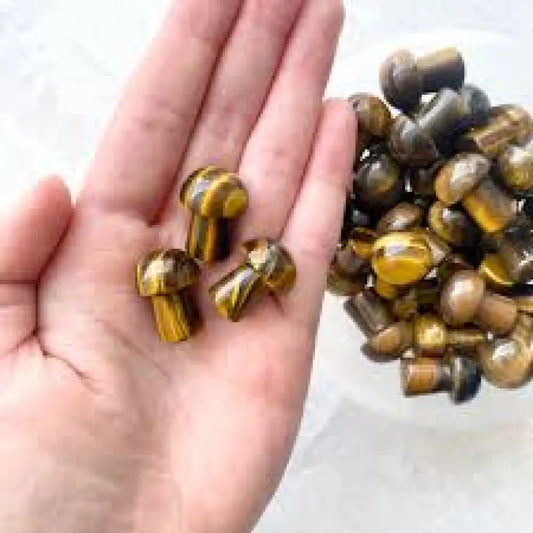 Tiger Eye Mushroom crystal mushroom