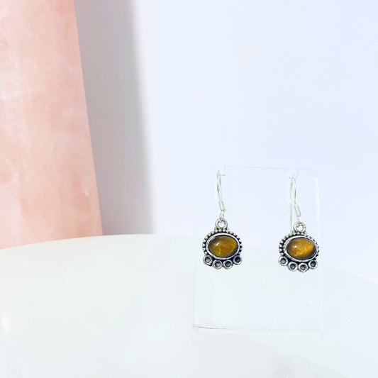 Tiger eye Oval Earrings