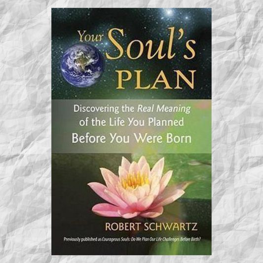 Your Soul's Plan: Discovering the Real Meaning of the Life You Planned Before You Were Born