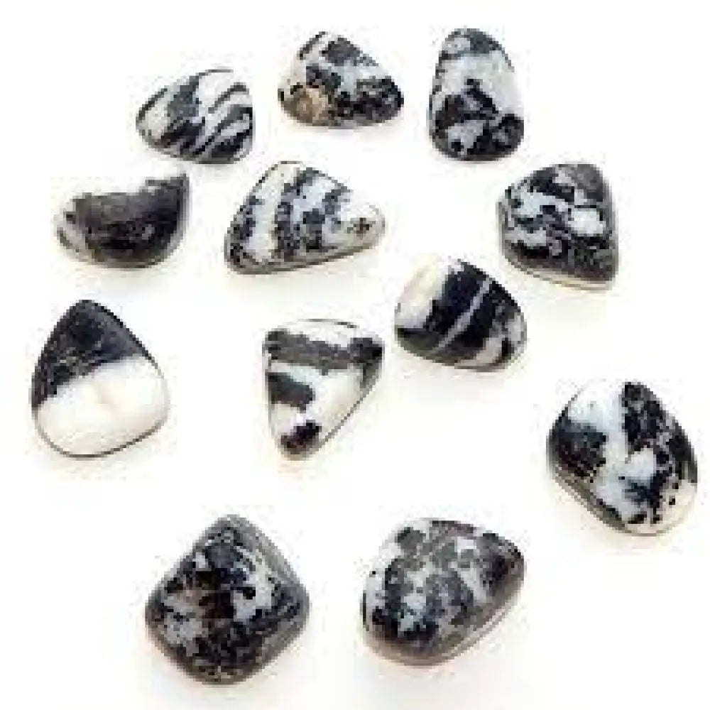 Zebra Jasper Tumble Crystals ~ Endurance & Boosts Positive Thinking Tumbled Crystal