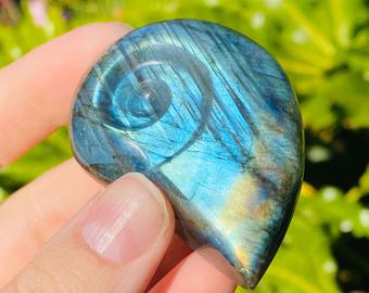 Labradorite Ammonite Carvings