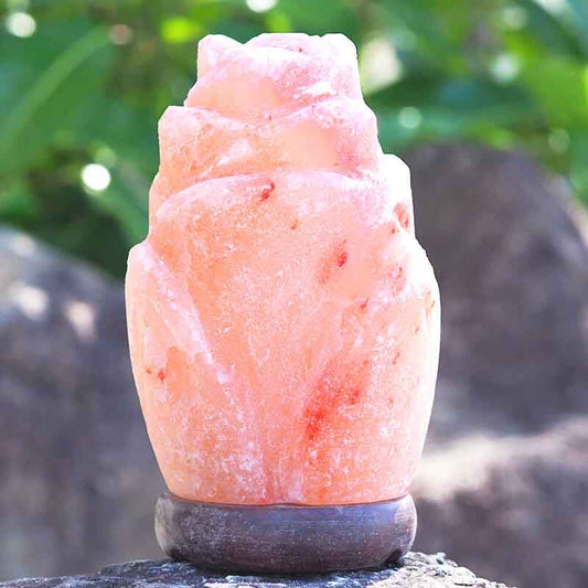 Salt Lamp - Pink Rose