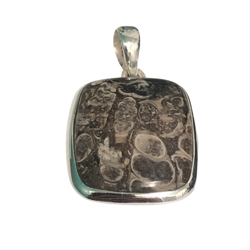 Turtella Jasper Pendant in Silver